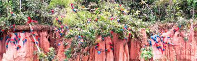 Selva Cultural y de Aventura