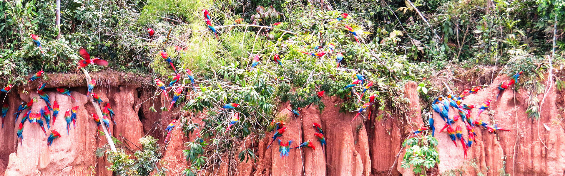 Selva Cultural y de Aventura